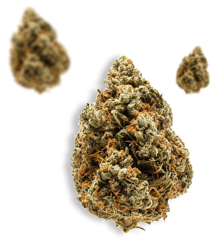 cannabis flowers